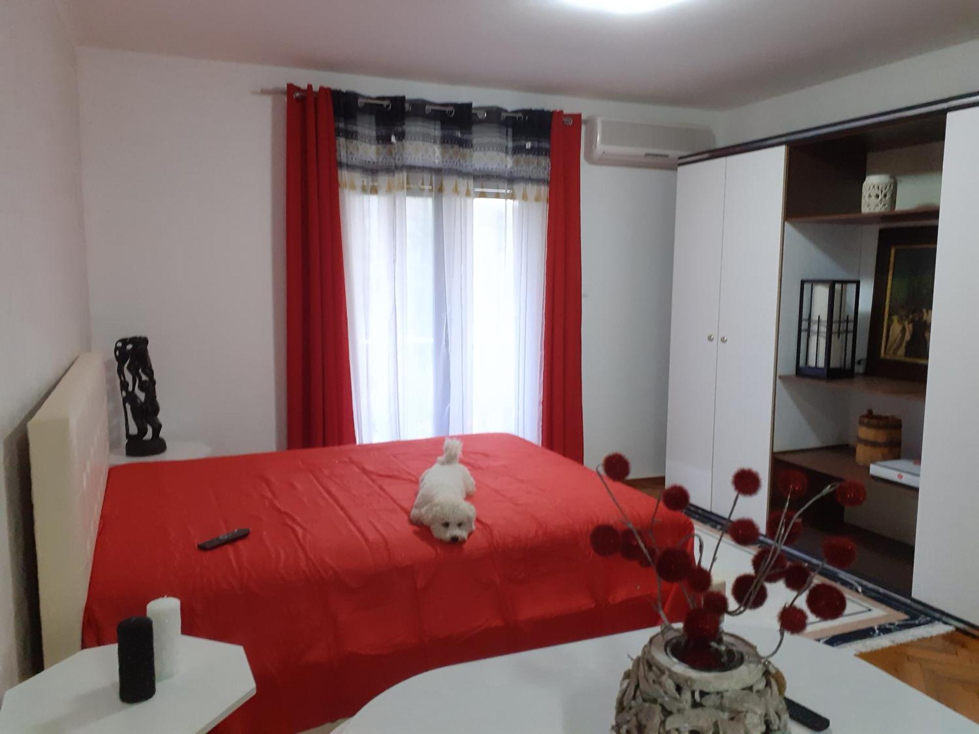 Guest House Cvoro แฮร์เซ็ก-โนวี ห้อง รูปภาพ
