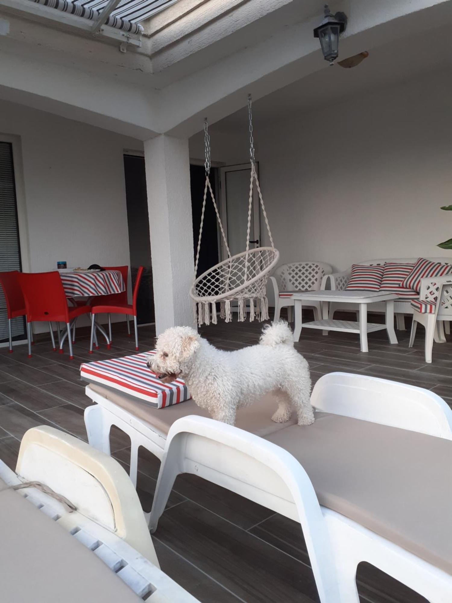 Guest House Cvoro แฮร์เซ็ก-โนวี ห้อง รูปภาพ