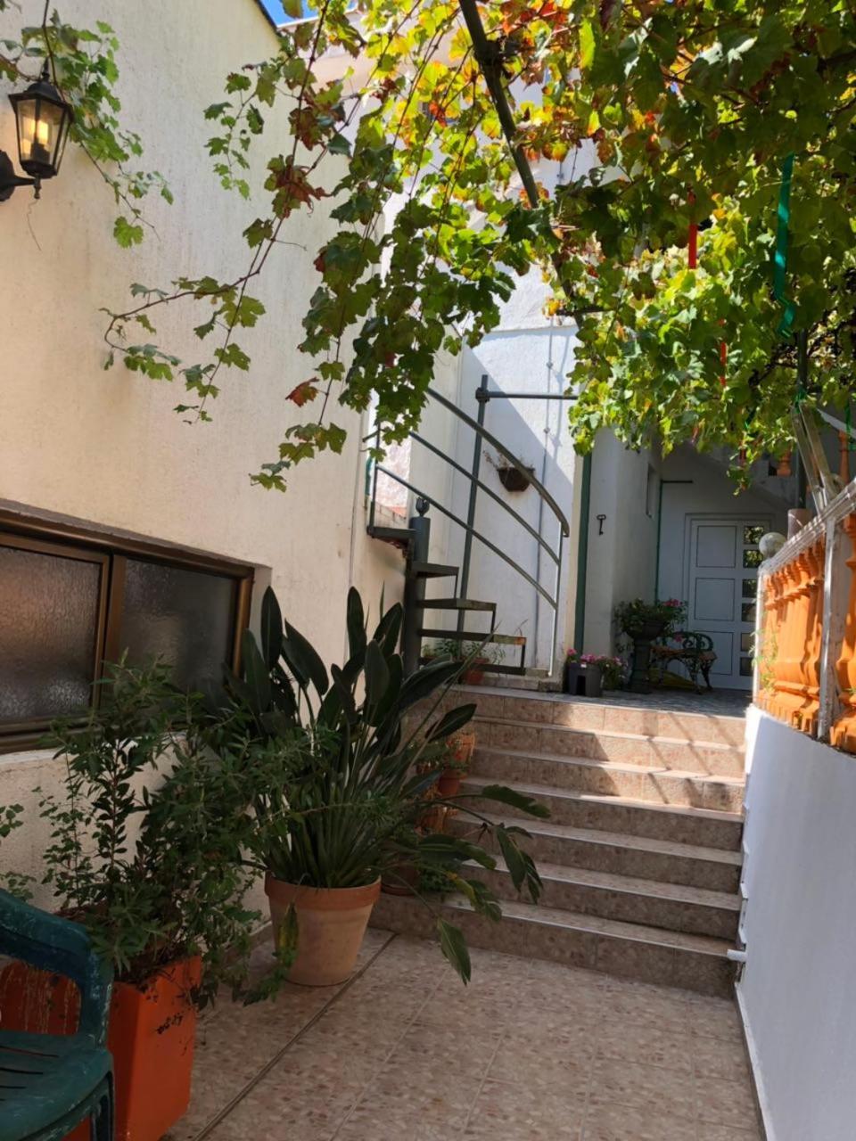 Guest House Cvoro แฮร์เซ็ก-โนวี ภายนอก รูปภาพ